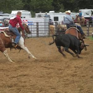 Meet your Posher, Layton